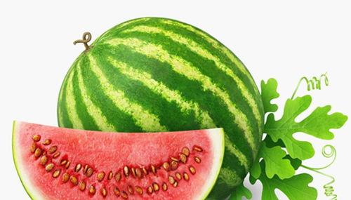 和孩子们一起来吃瓜,与孩子们共享欢乐吃瓜盛宴